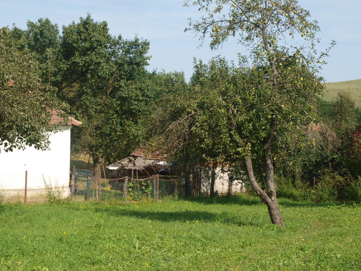 Rozsa Haz Villa Csernely Exterior photo